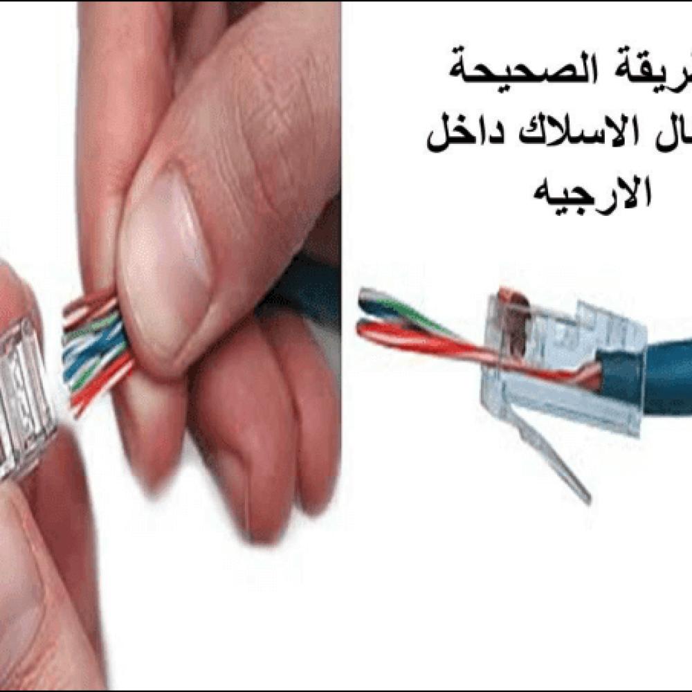 Cat 6 Ethernet cable - 5 meters blue - high speed for home and office networks — product image 5