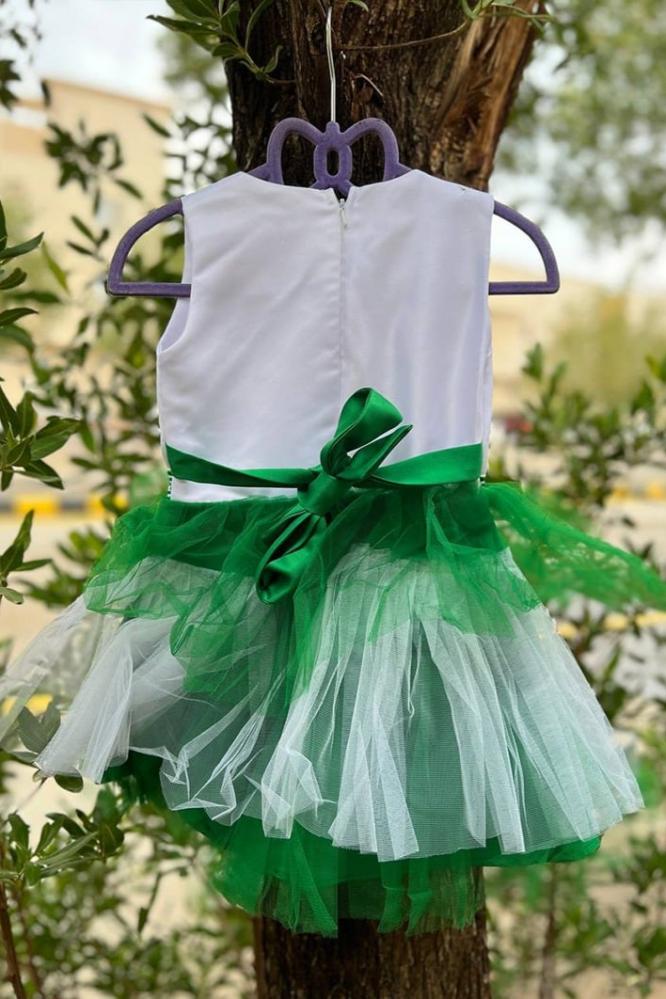 Green and white patriotic fluffy dress with a royal design for Foundation Day 2026 — product image 4