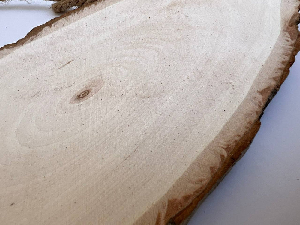 Natural wood log, oval shape, size 25 cm — product image 4