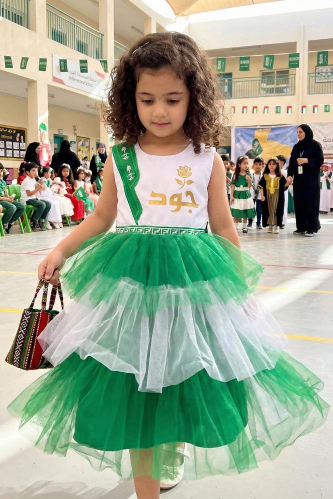 Green and white patriotic fluffy dress with a royal design for Foundation Day 2026 — product image 1