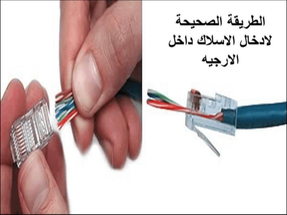 High-speed Cat 6 Ethernet cable - 3 meters - blue — product image 5