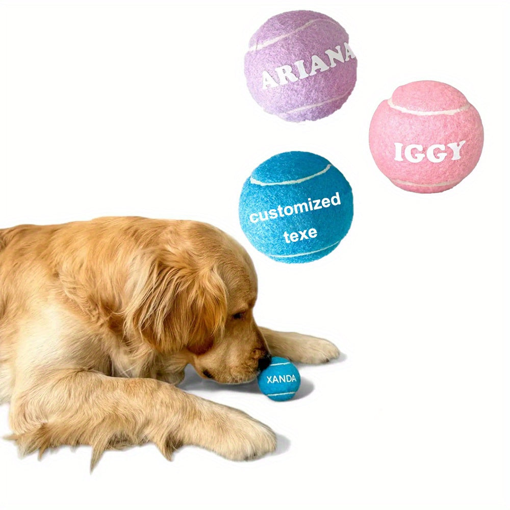 Personalized Dog Ball with Custom Logo or Design - image 1