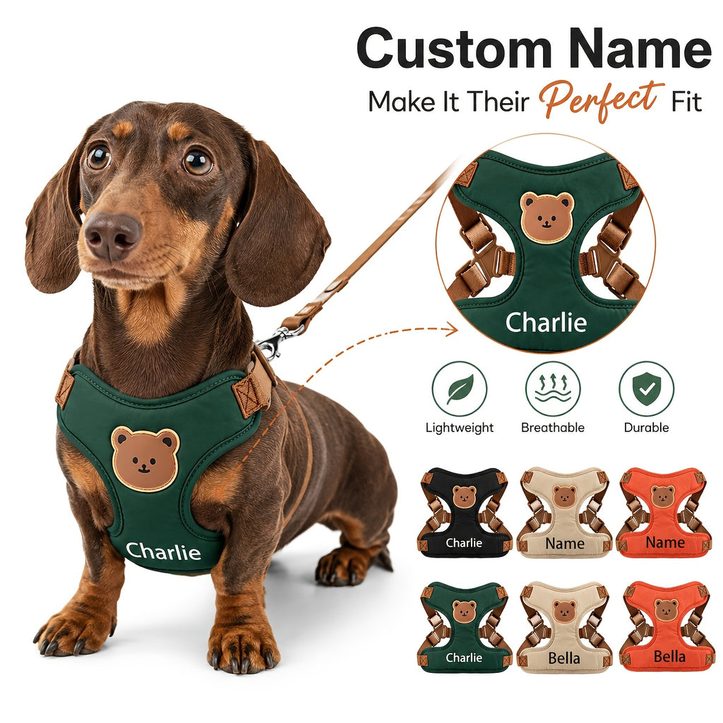 Custom-Branded Pet Harness and Leash Set with Custom Logo or Design - image 1