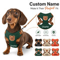 Custom-Branded Pet Harness and Leash Set with Custom Logo or Design - image 1