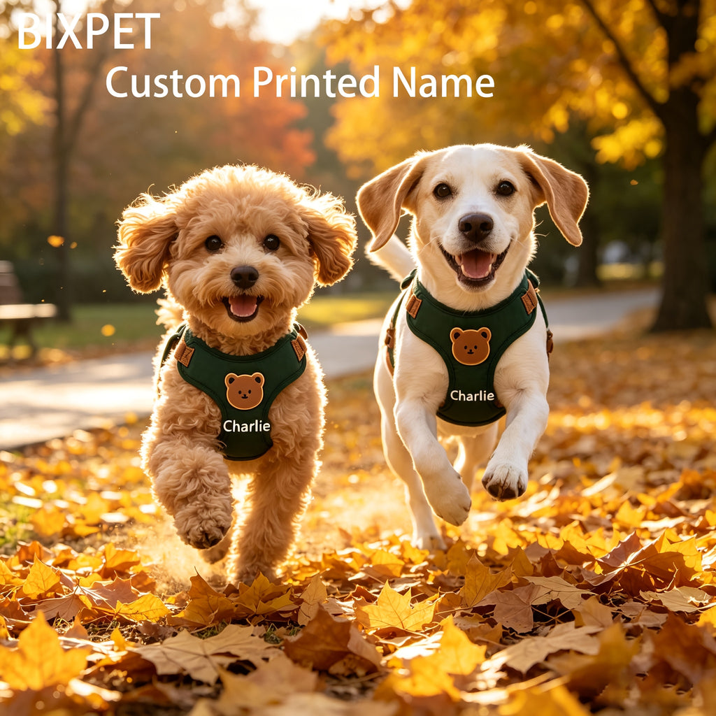Custom-Branded Pet Harness and Leash Set with Custom Logo or Design - image 4
